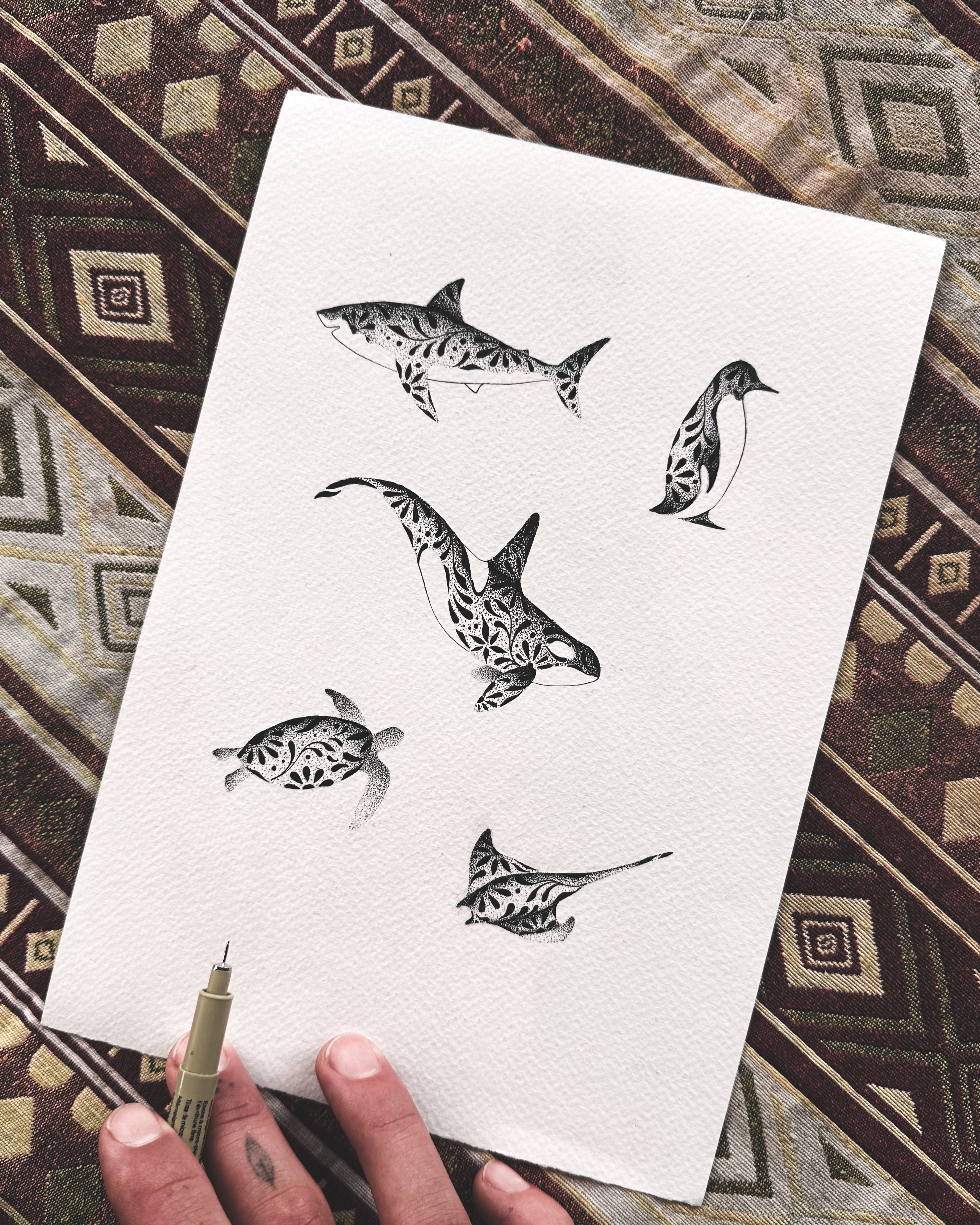 Ocean Animals - 5 designs