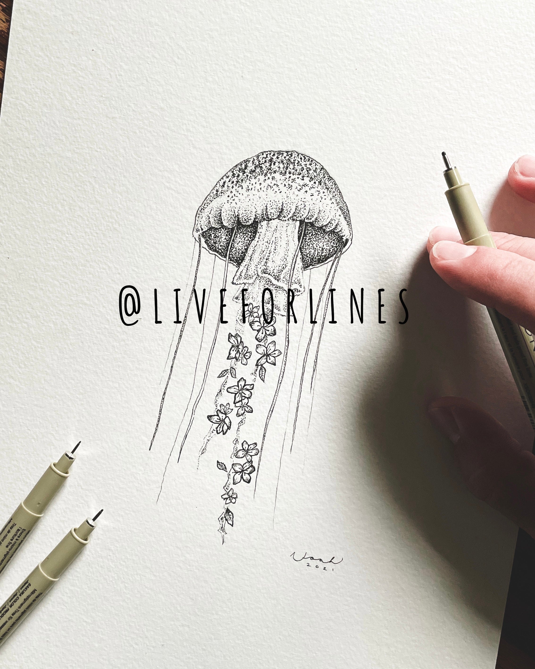Jellyfish