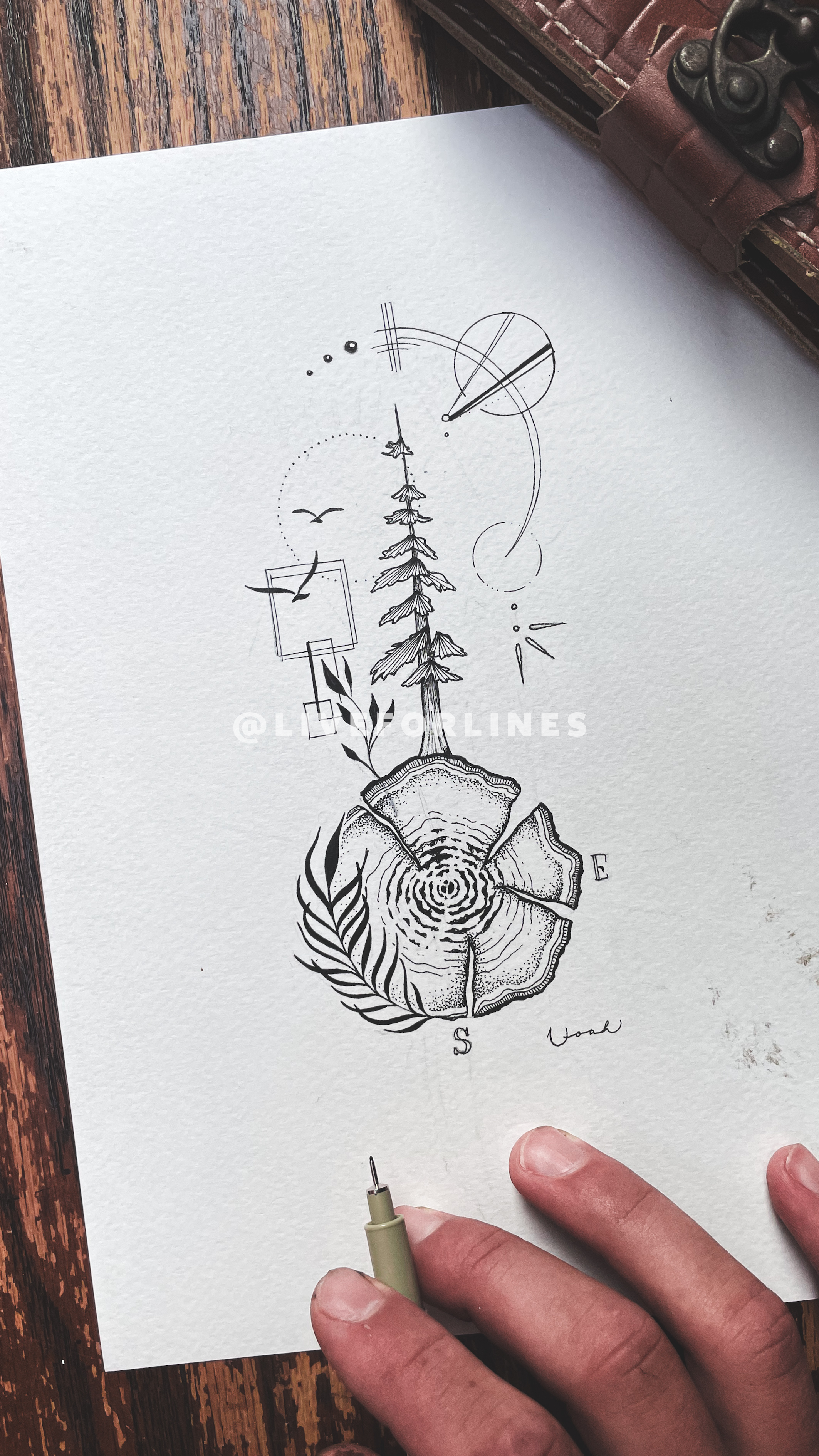 Nature Pack - 7 designs