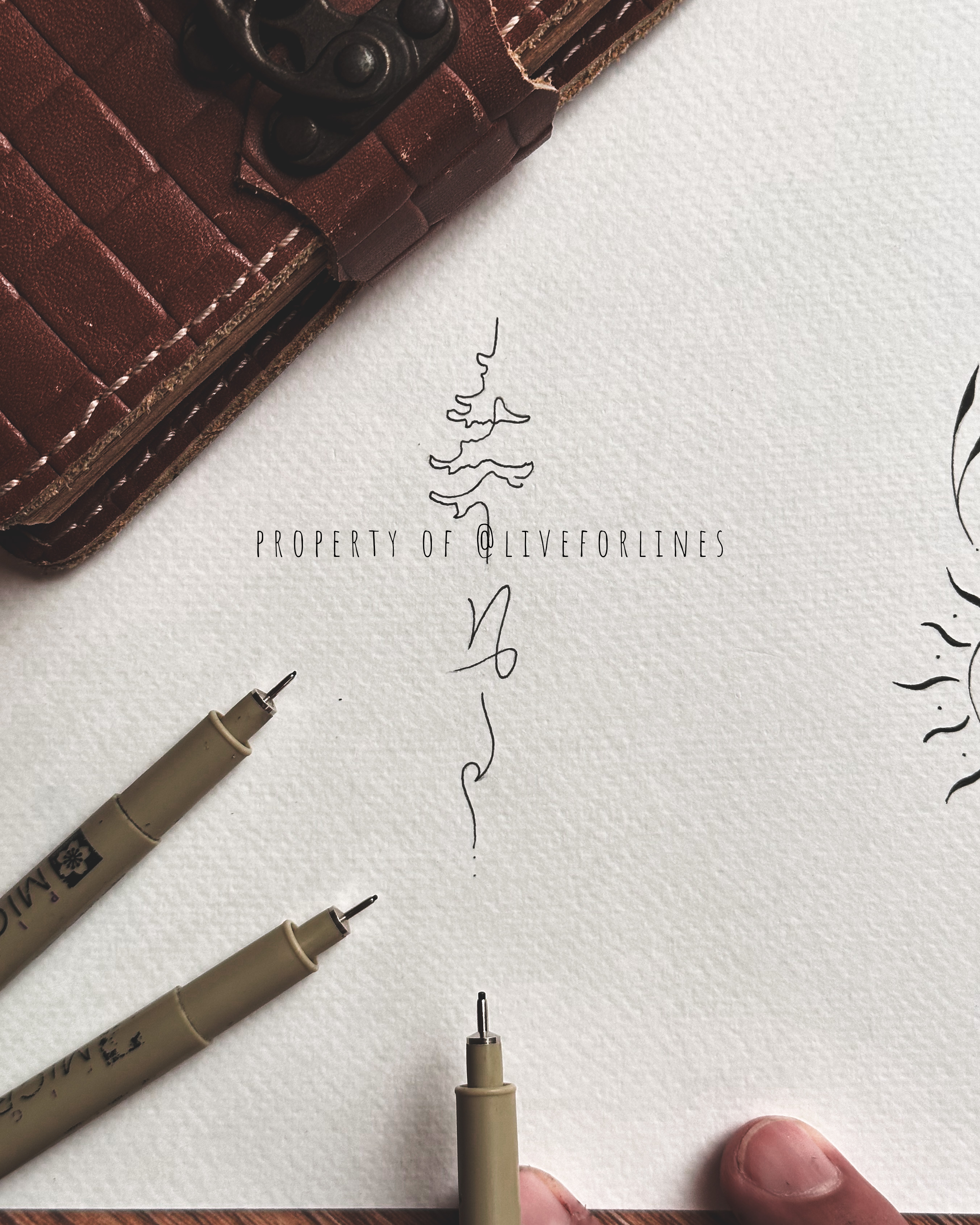 Capricorn - 6 designs