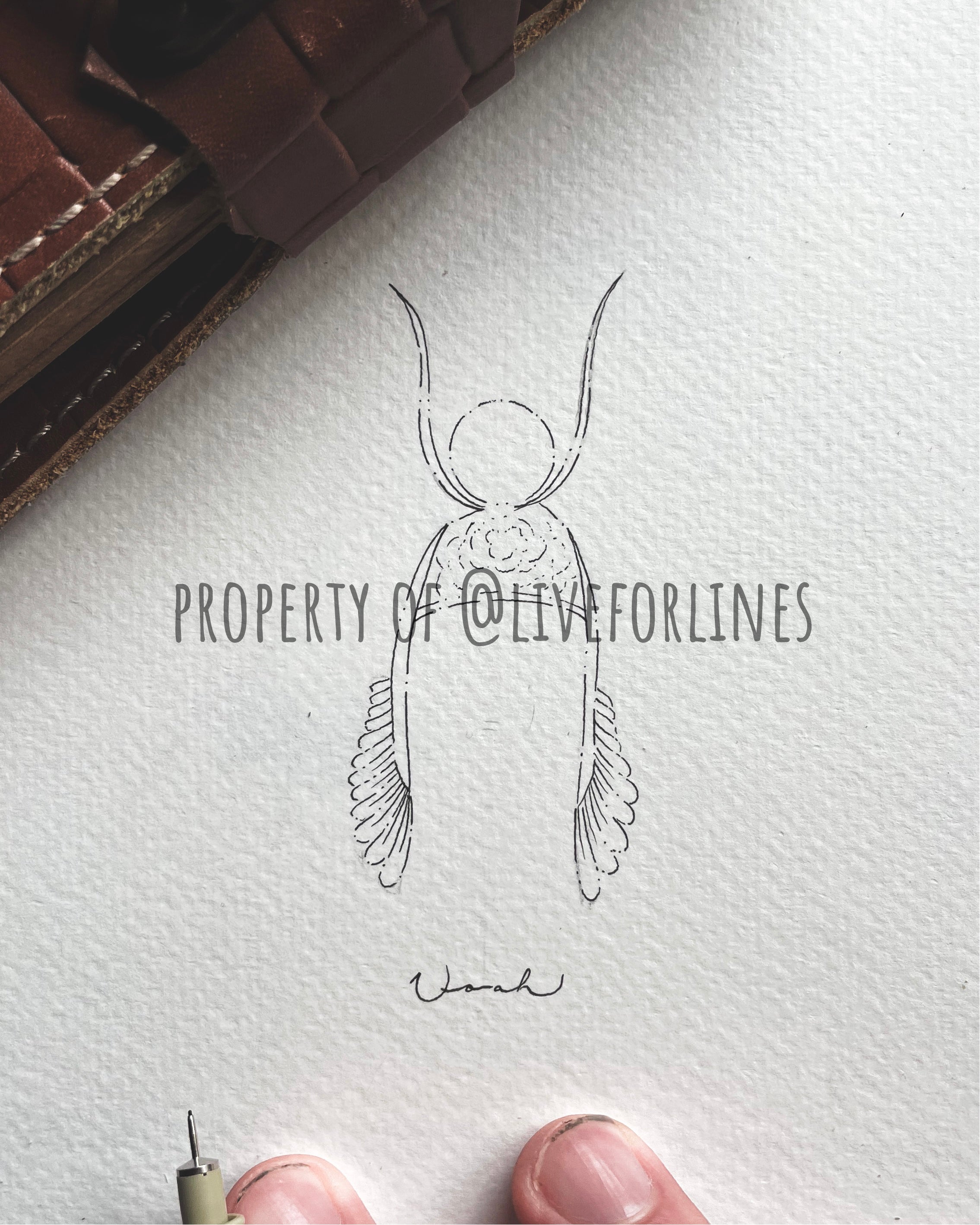 Lumineers - 4 designs
