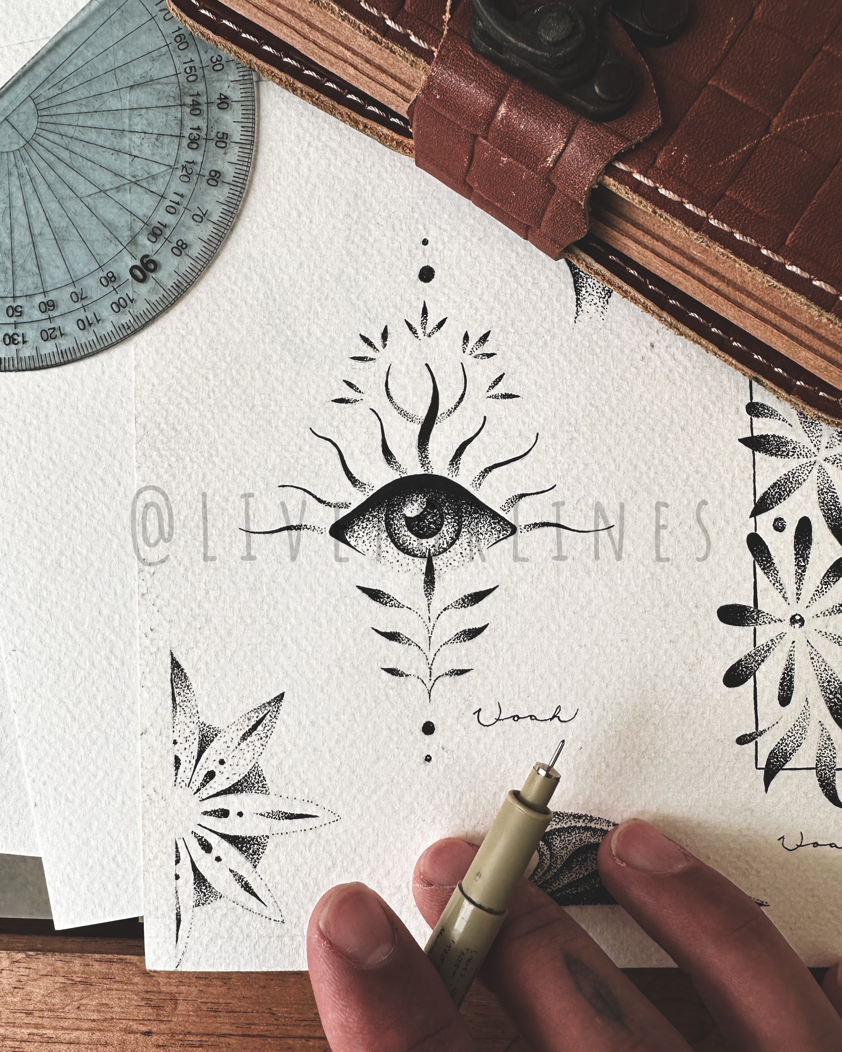Eye