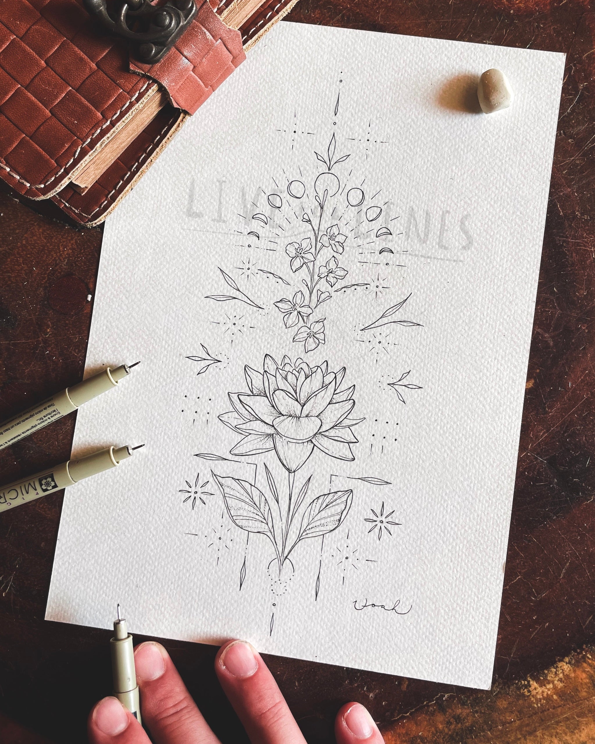July Birth Month Flower 2