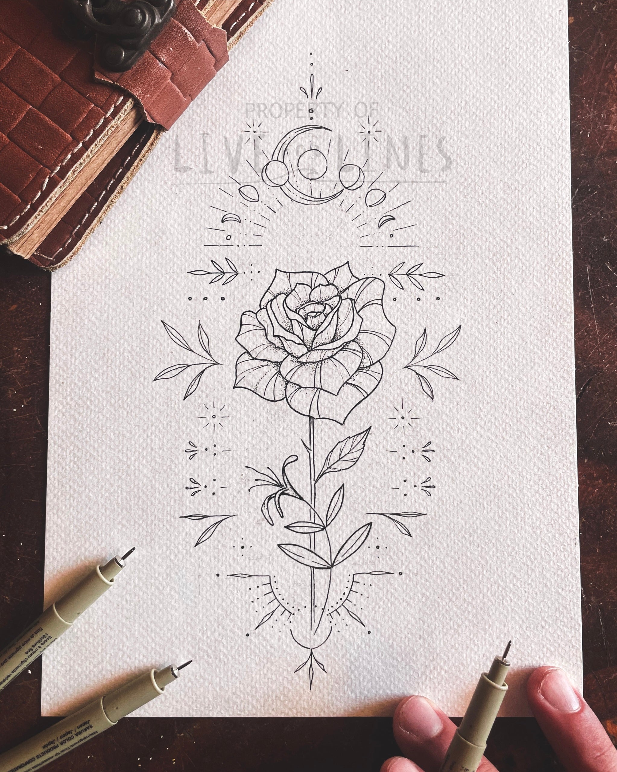 June Birth Month Flower 2