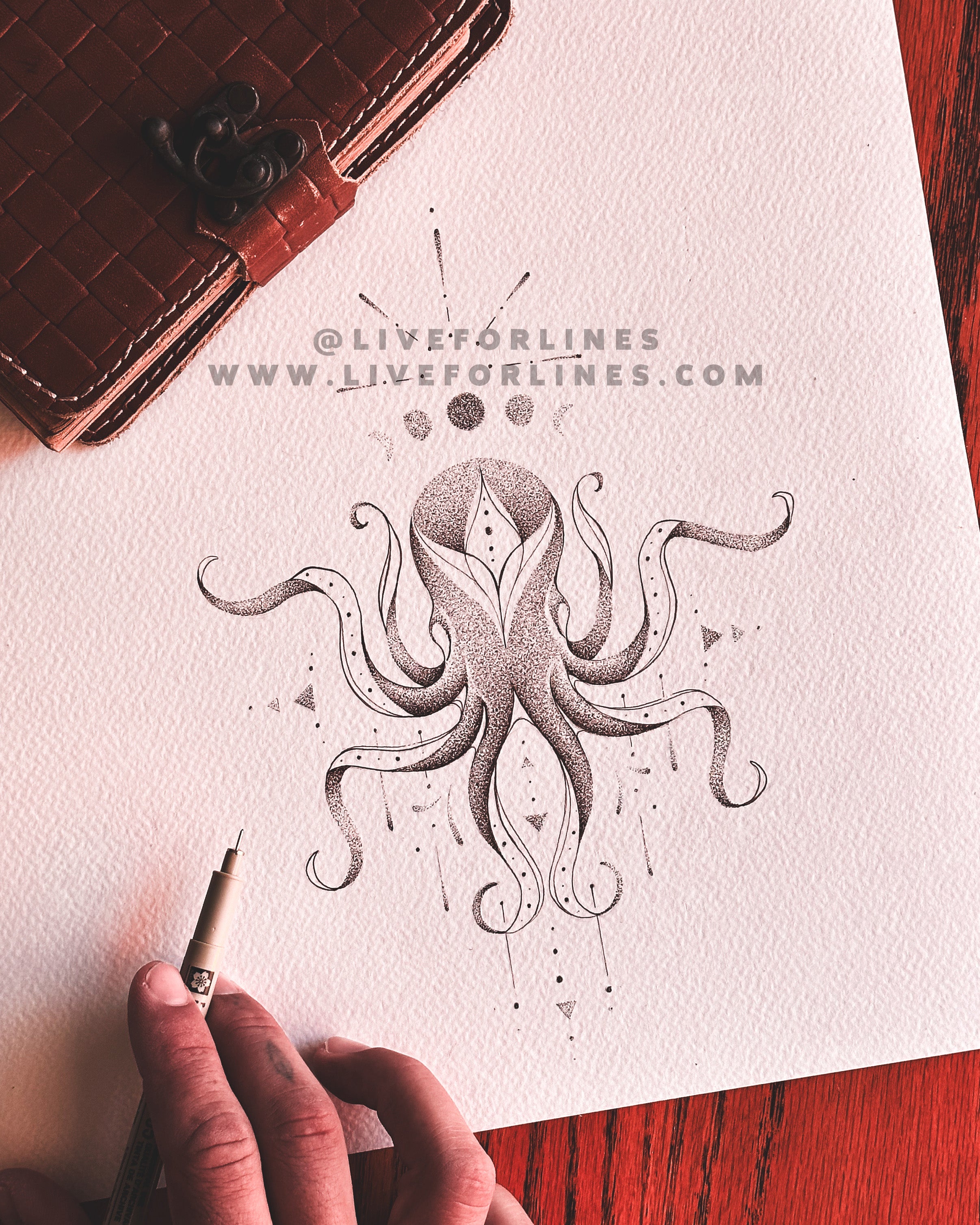 Octopus