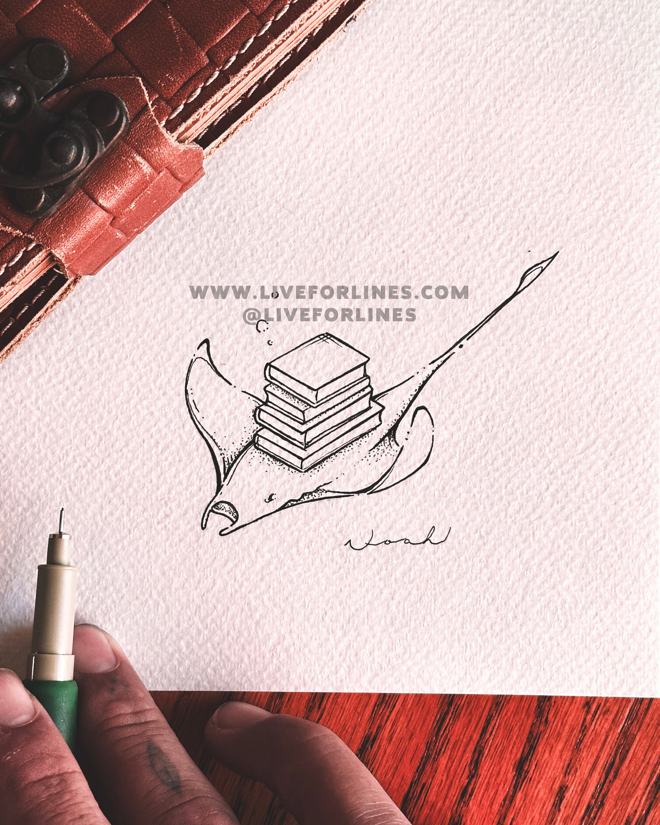 Books - 6 designs