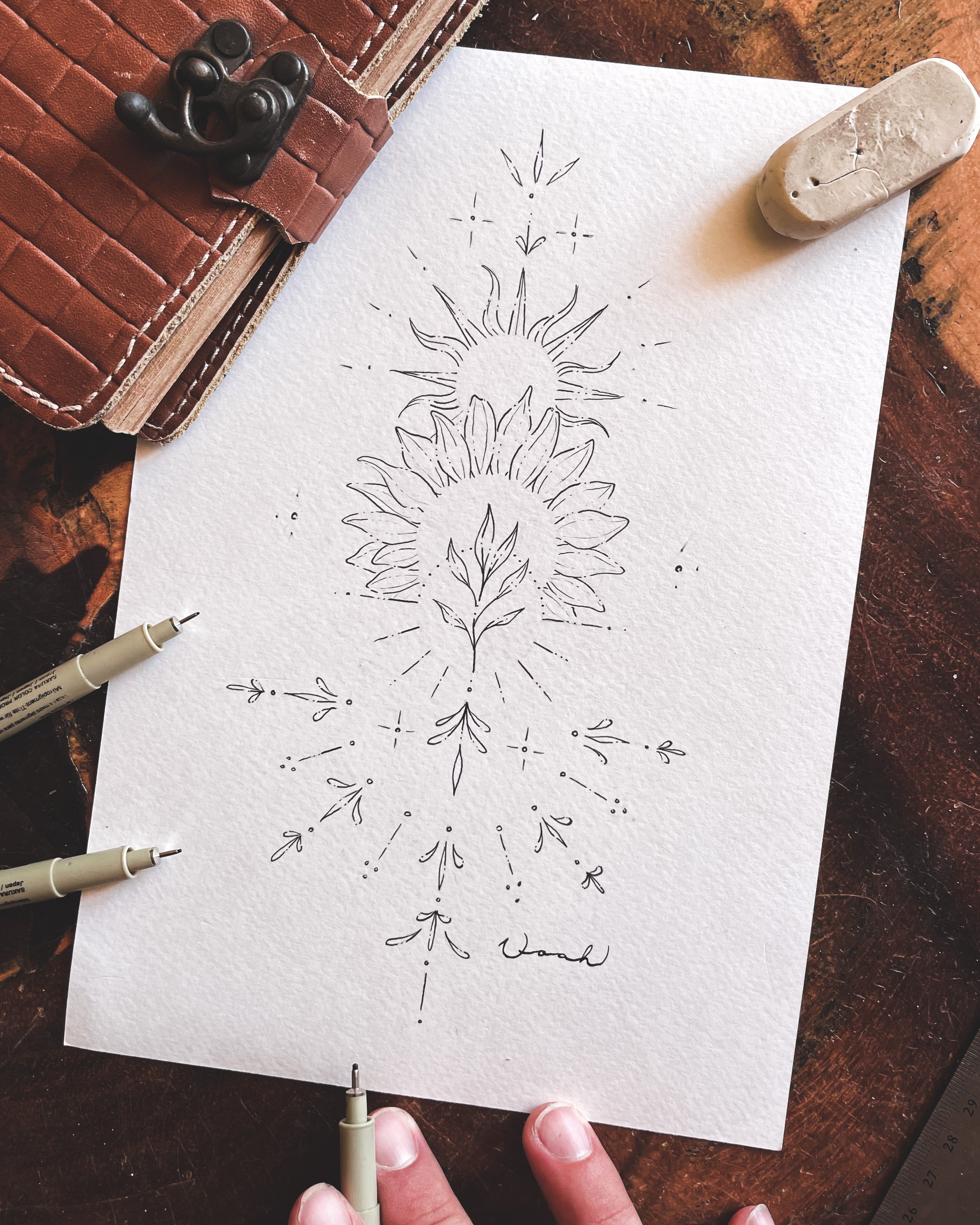 Sunflower
