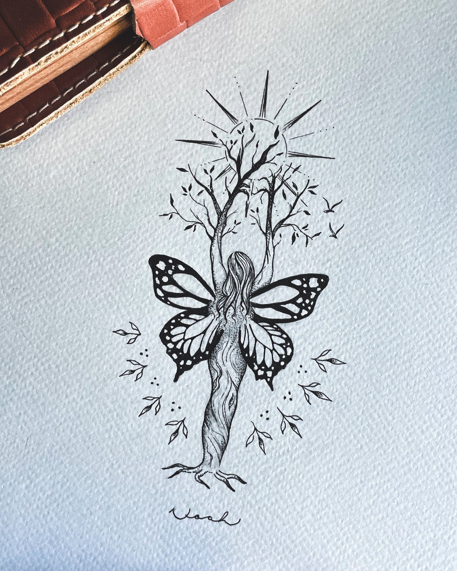 Butterfly