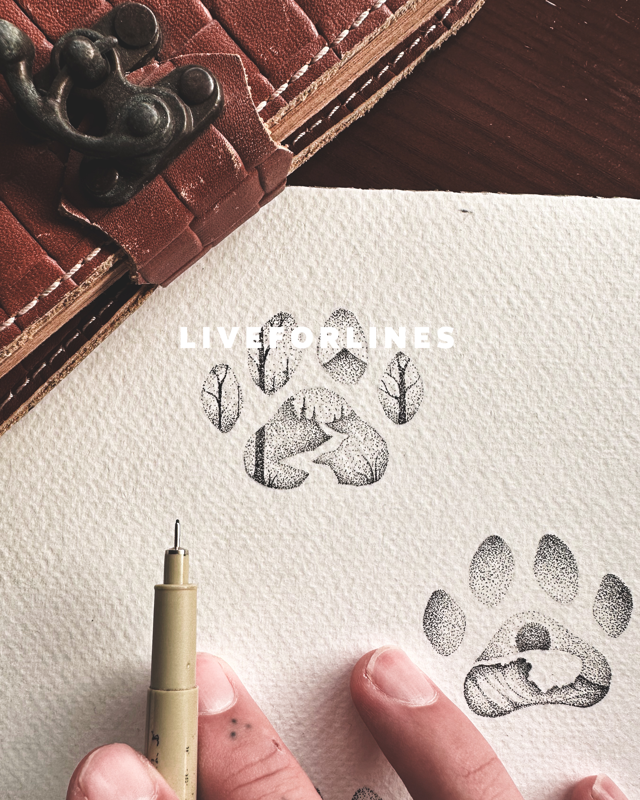 Dog paws - 5 designs