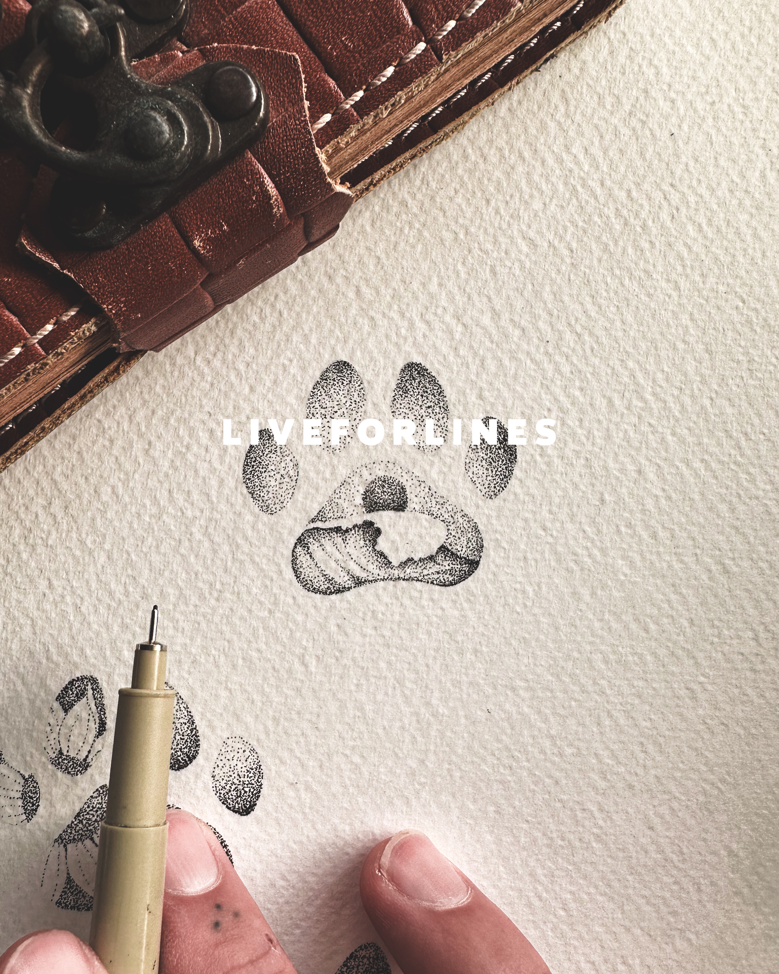 Dog paws - 5 designs