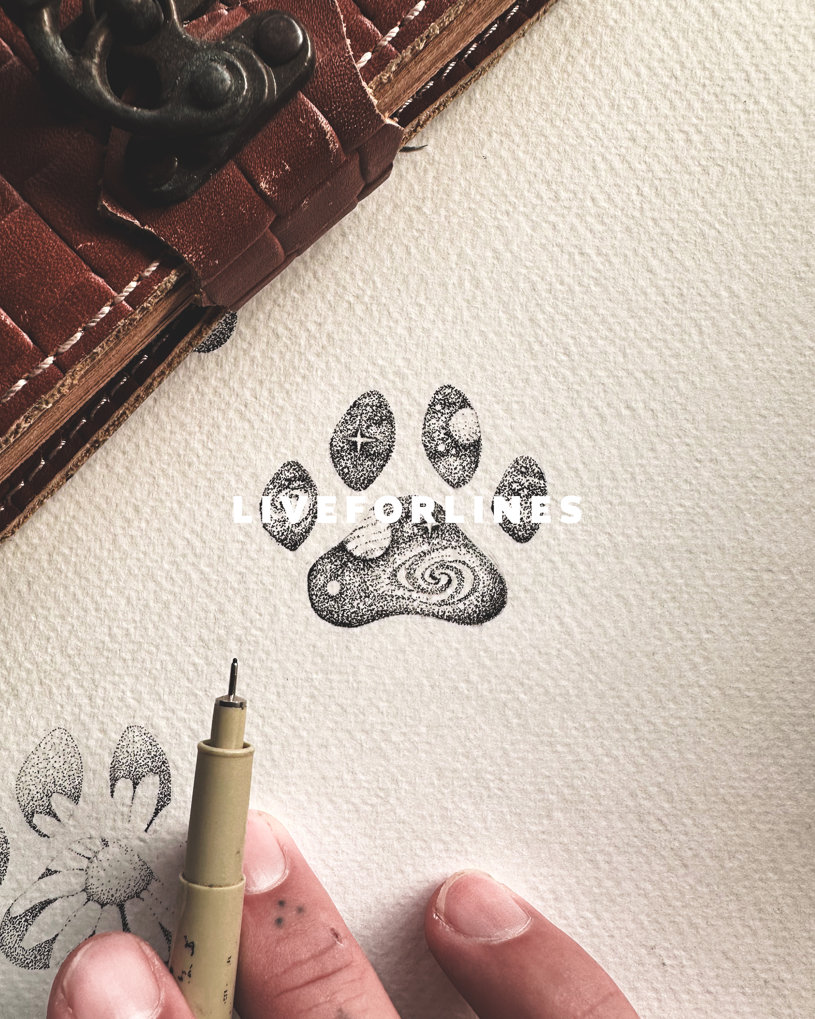 Dog paws - 5 designs