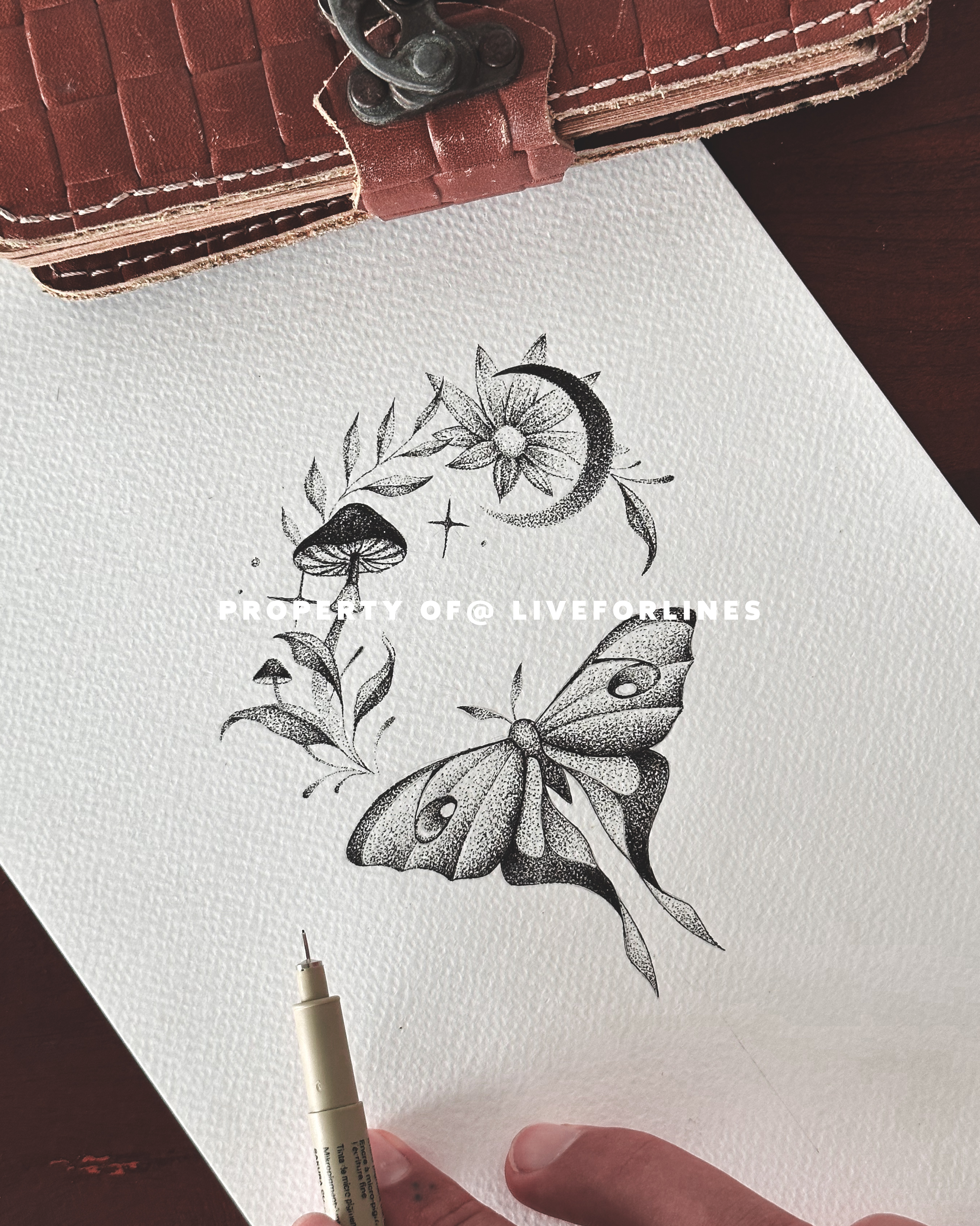 Butterflies - 5 designs