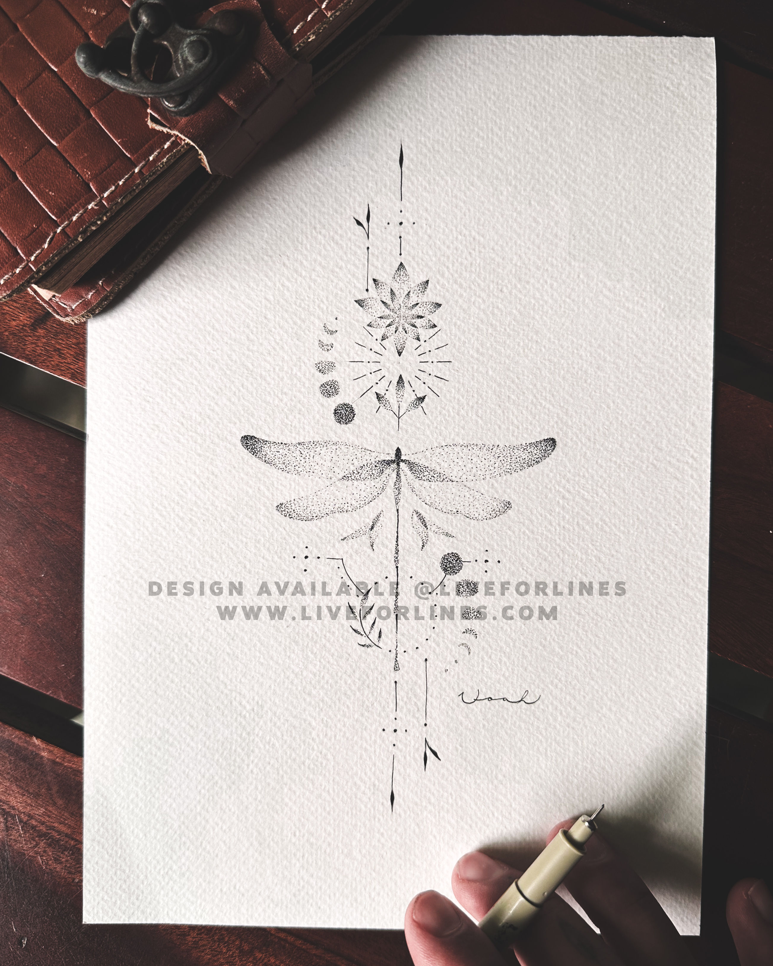 Dragonflies - 6 designs