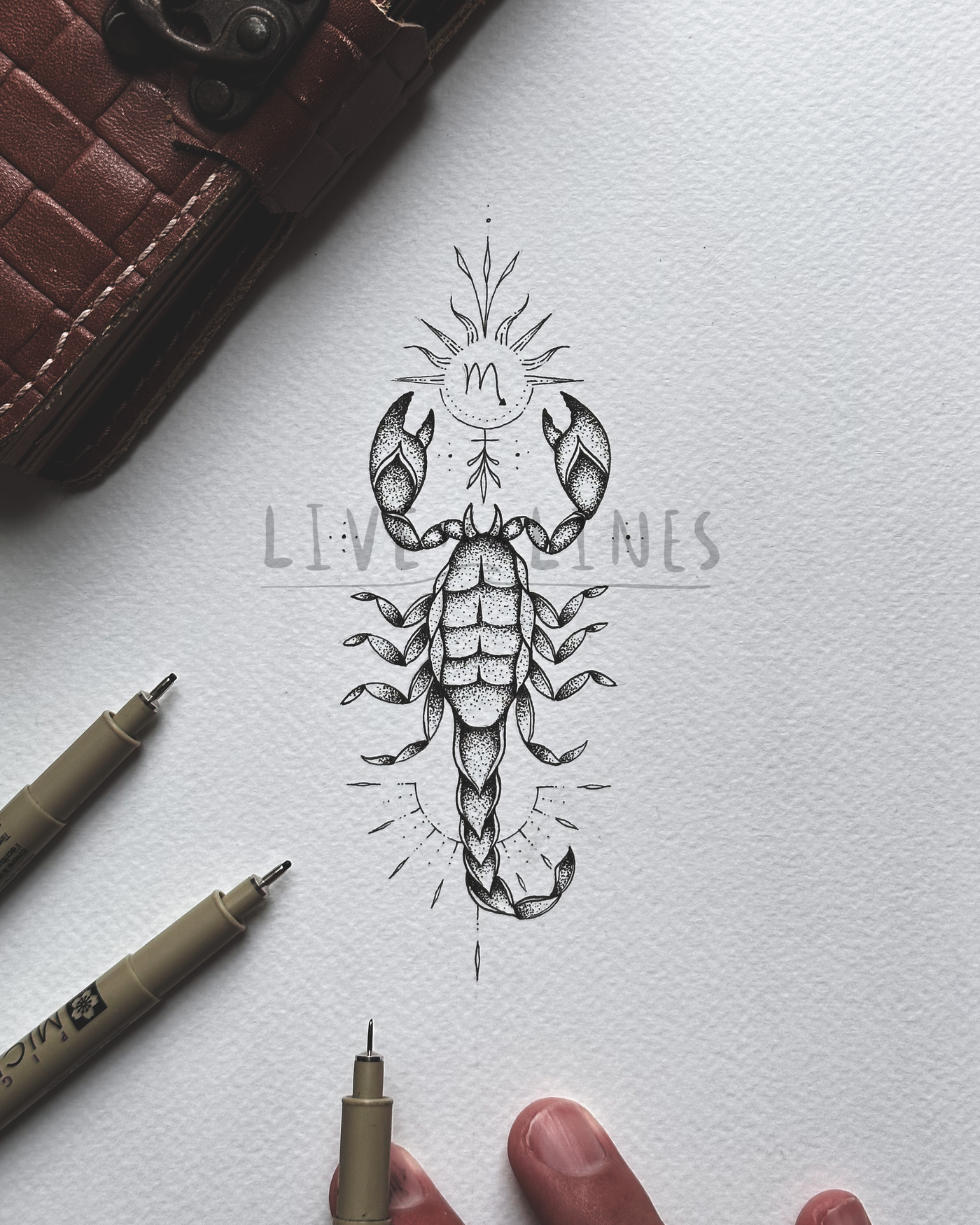scorpion tattoo drawings