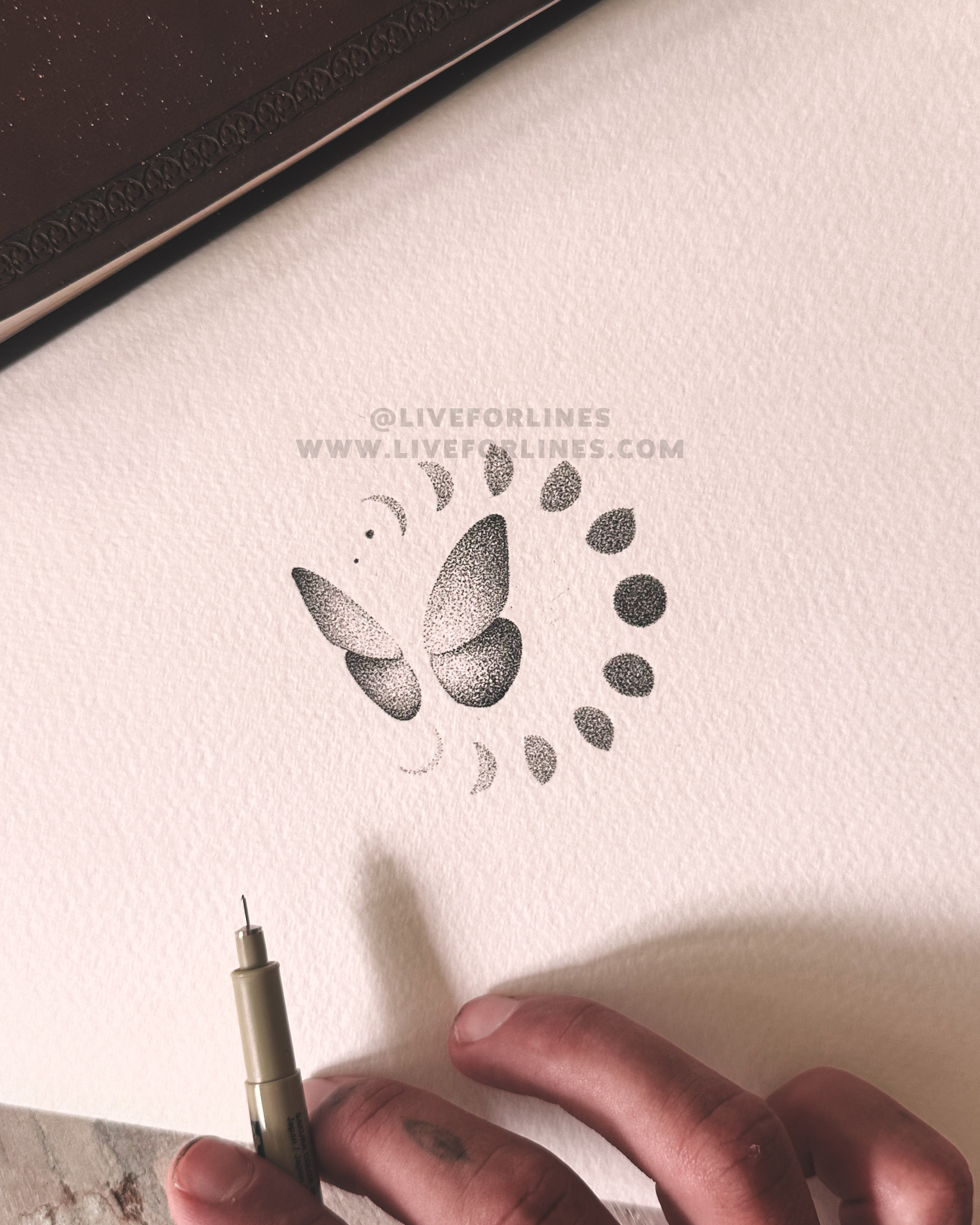 Going Through Changes