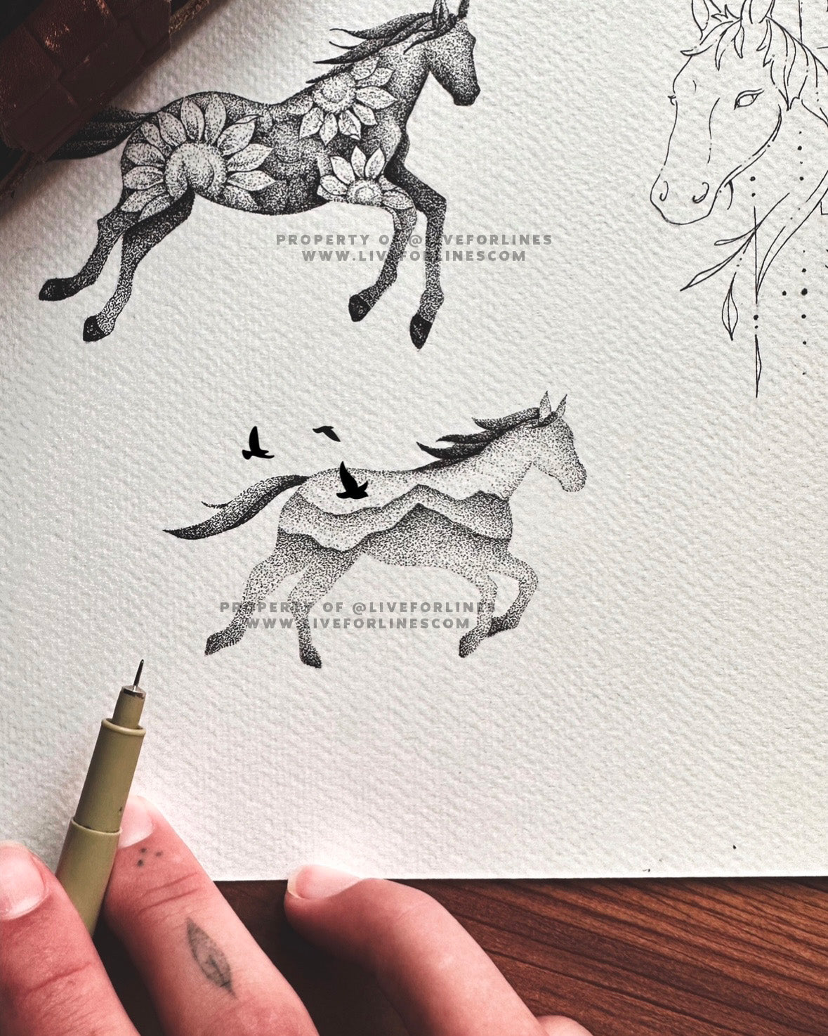 Horses - 6 designs