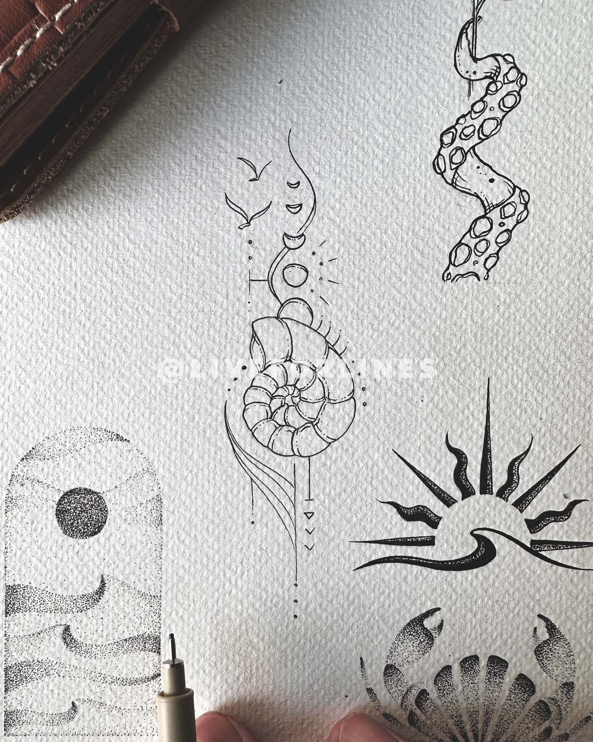 Day 463 - Ocean Tattoos (6 designs)