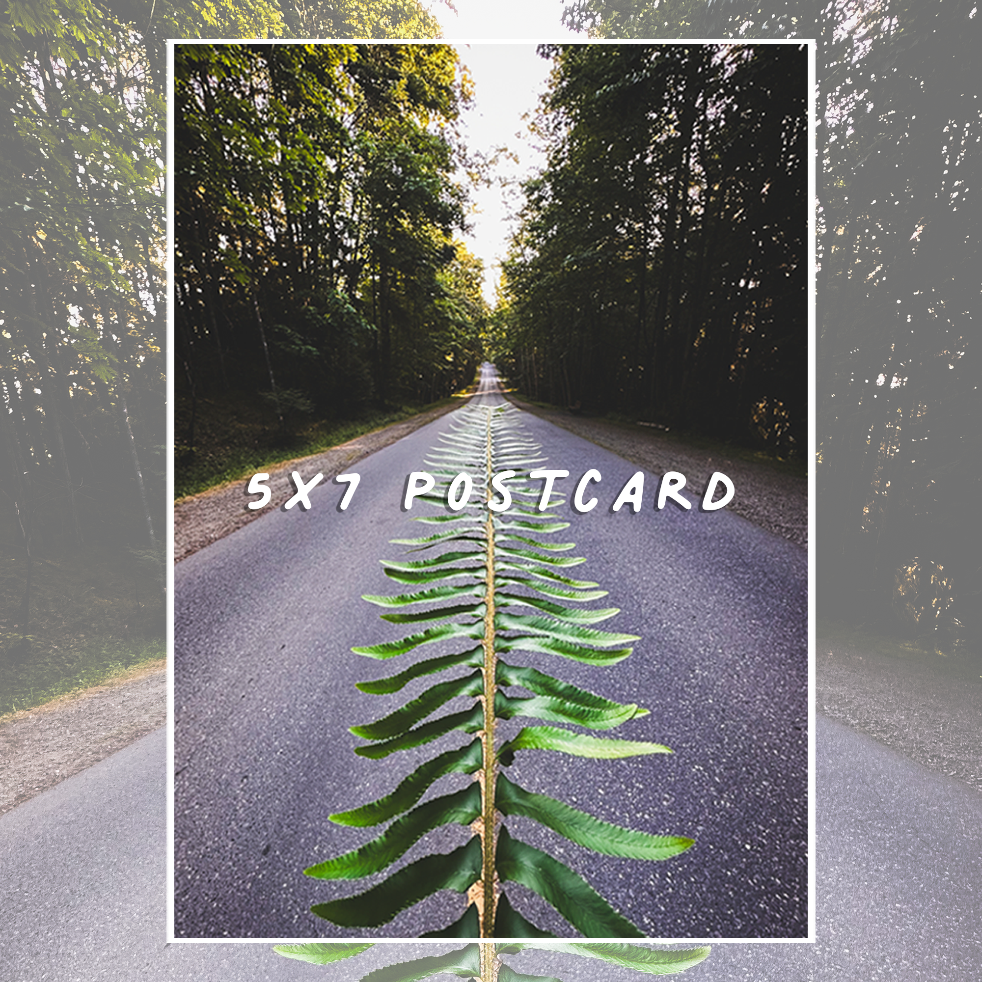 LiveForLetters September